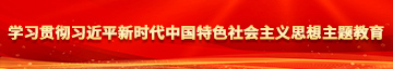 操美女的小碧学习贯彻习近平新时代中国特色社会主义思想主题教育